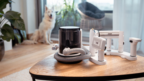De beste Dog Vacuum Cleaner