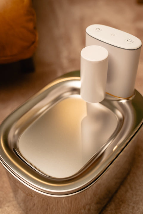 AquaFlow - SmartPaw